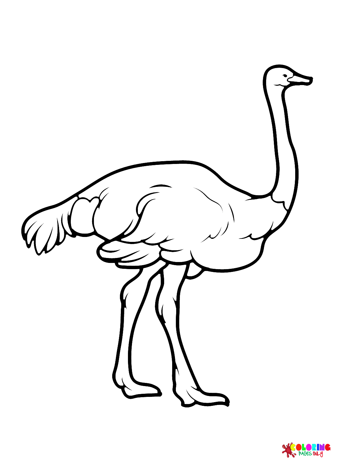 common-ostrich.png
