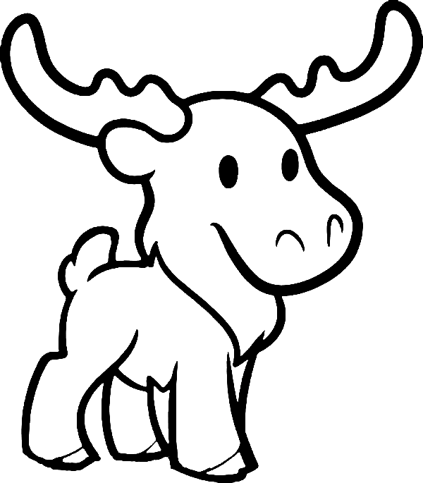cute-moose.png