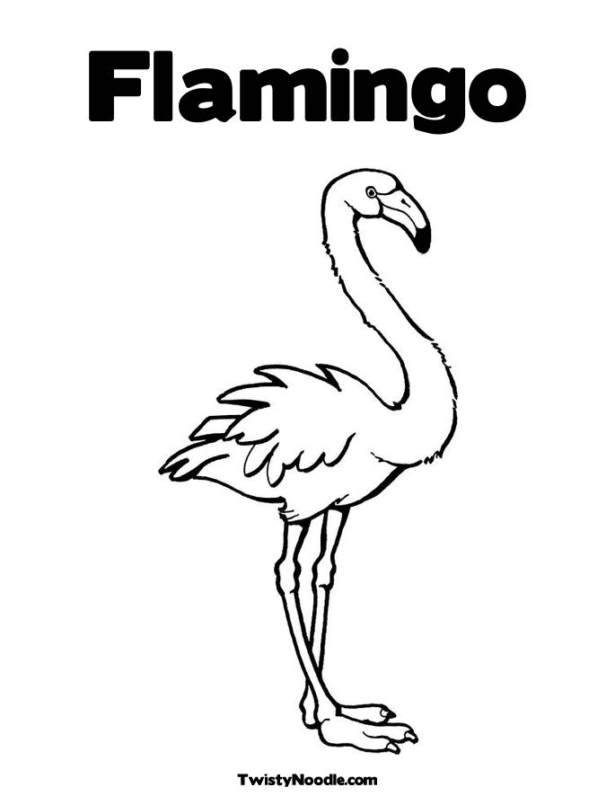 cute-pink-flamingo.png