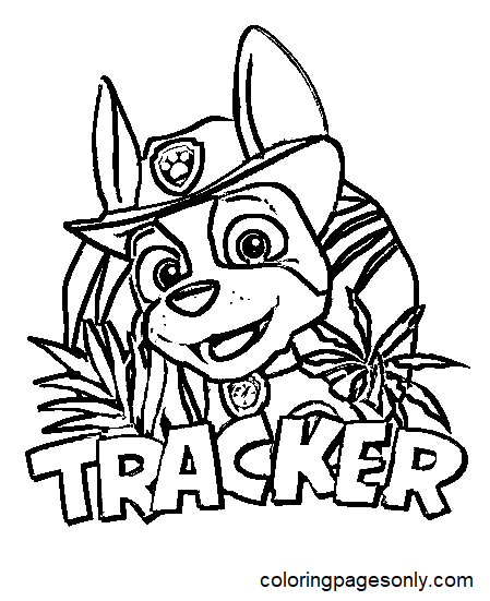 cute-tracker-paw-patrol.png