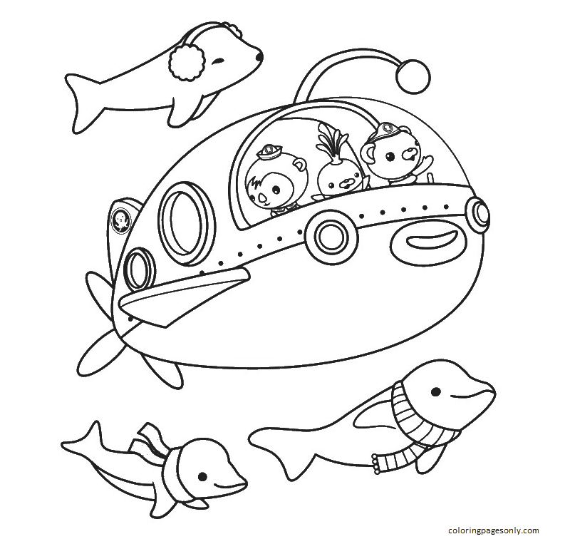 dolphins-octonauts.png