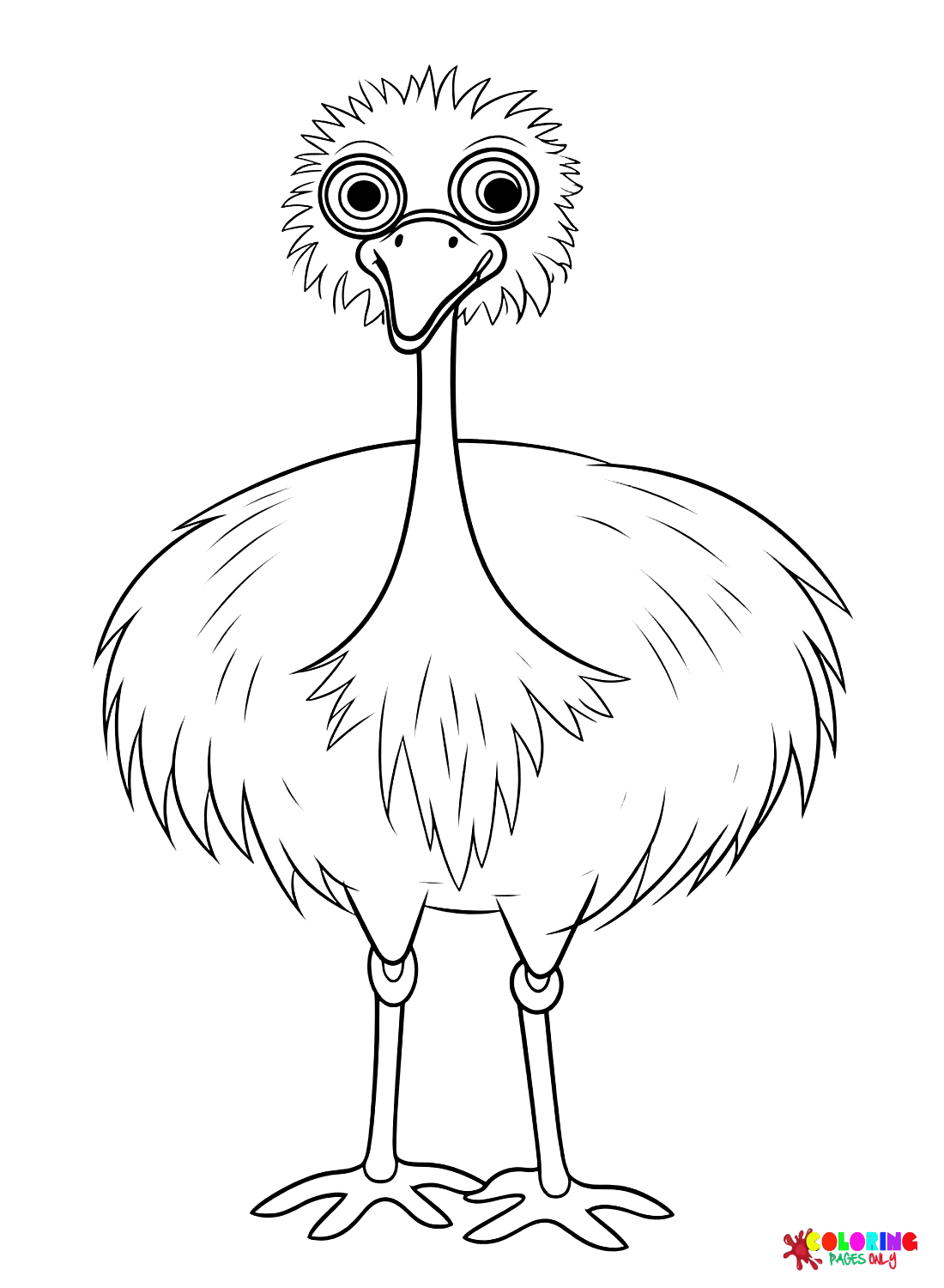 emu-bird-images.png