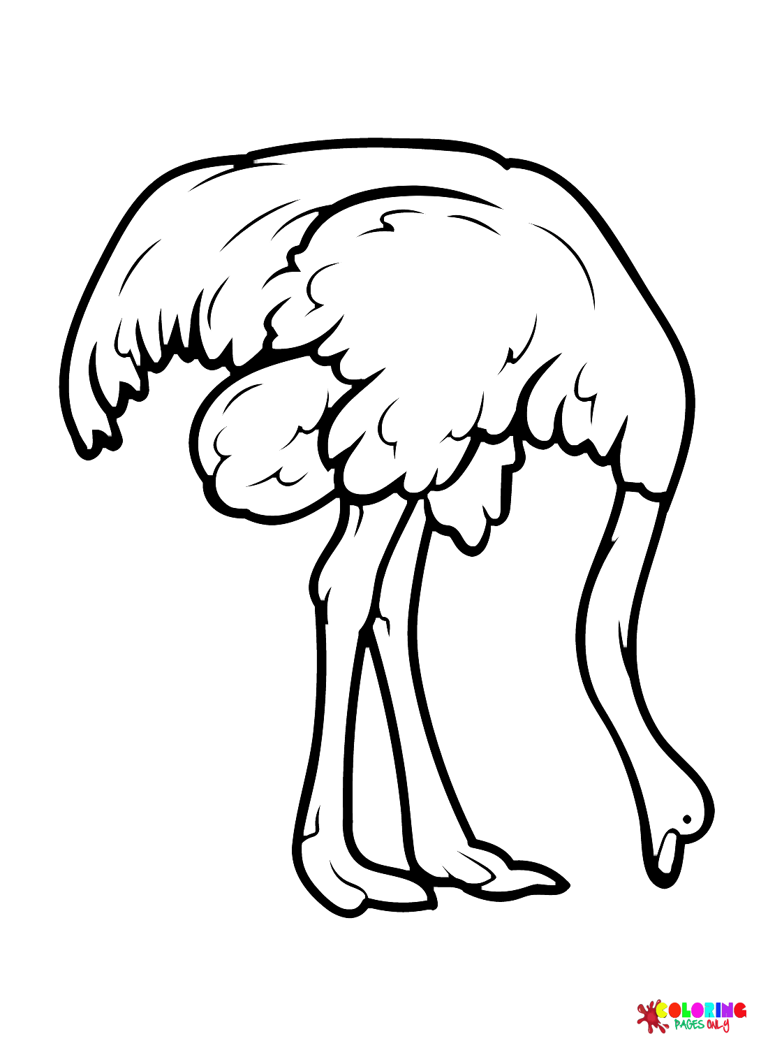 emu-for-kids.png