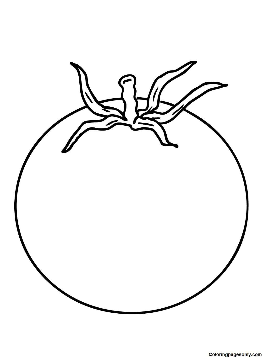free-tomato.png