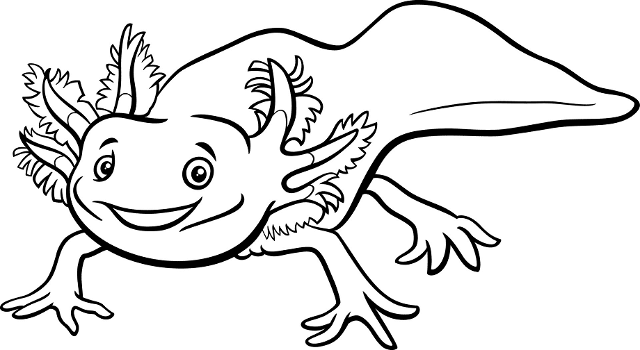 happy-axolotl-animal.png