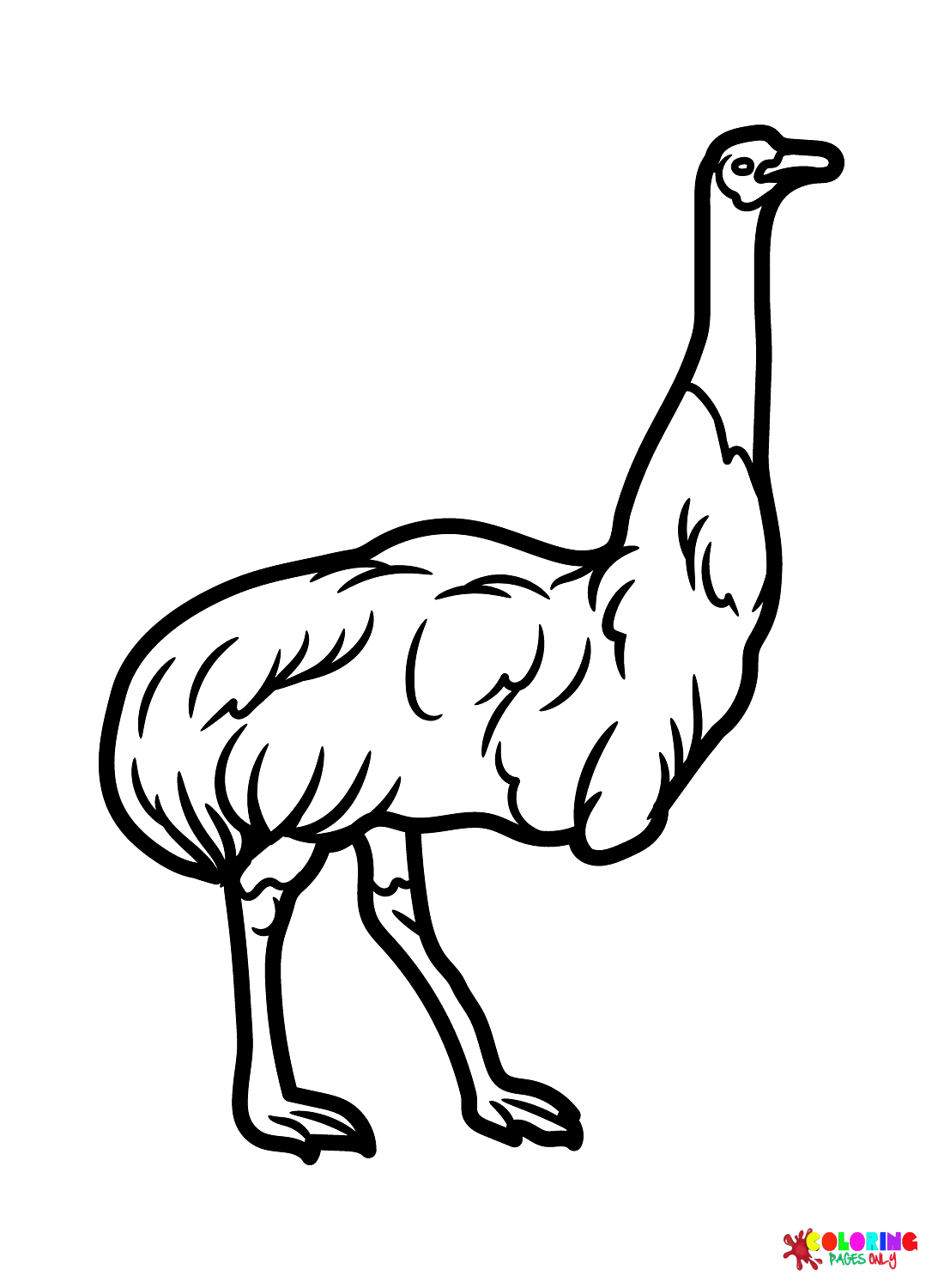 images-emu-bird.png