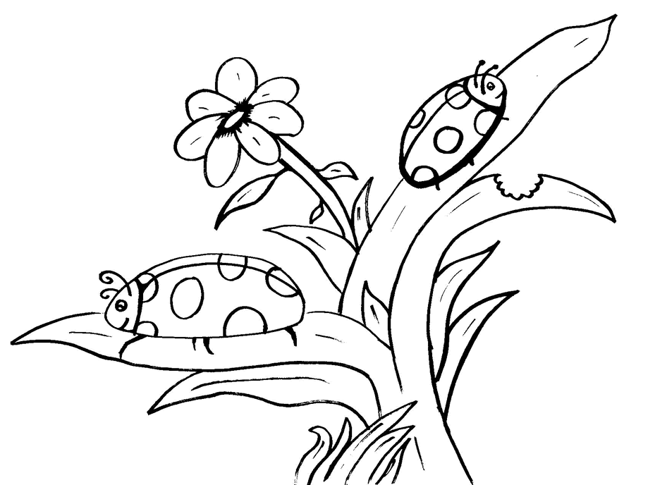 ladybugs-and-flower.png