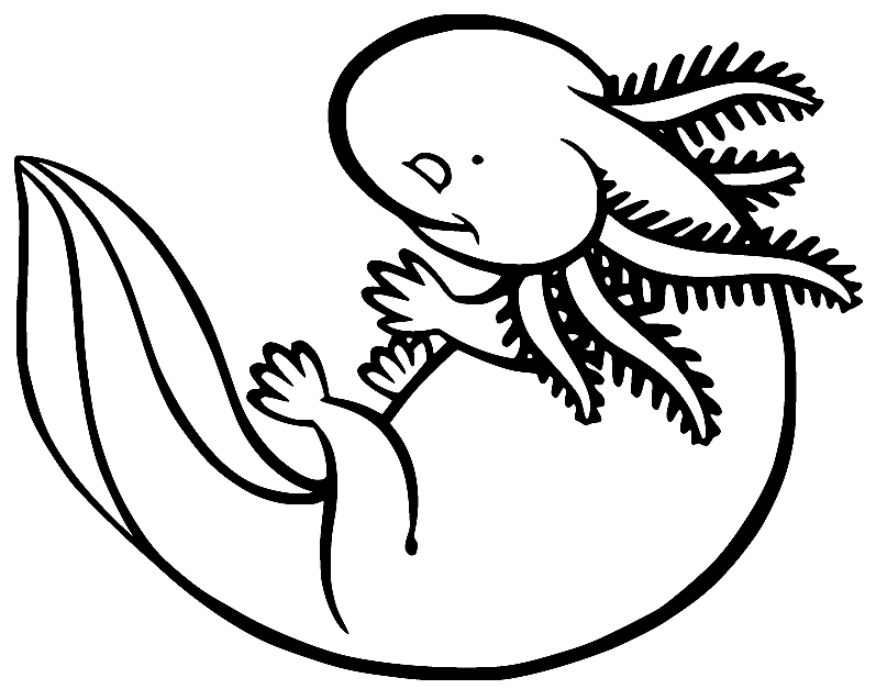 little-axolotl.png