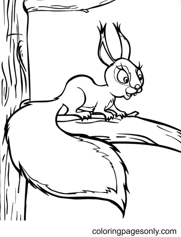 little-squirrel-on-tree.png