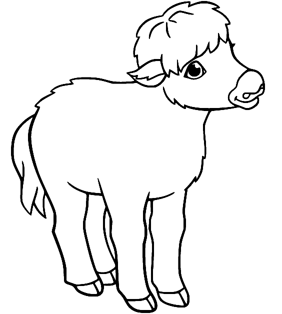 little-yak.png