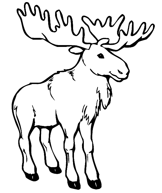 moose-walking.png