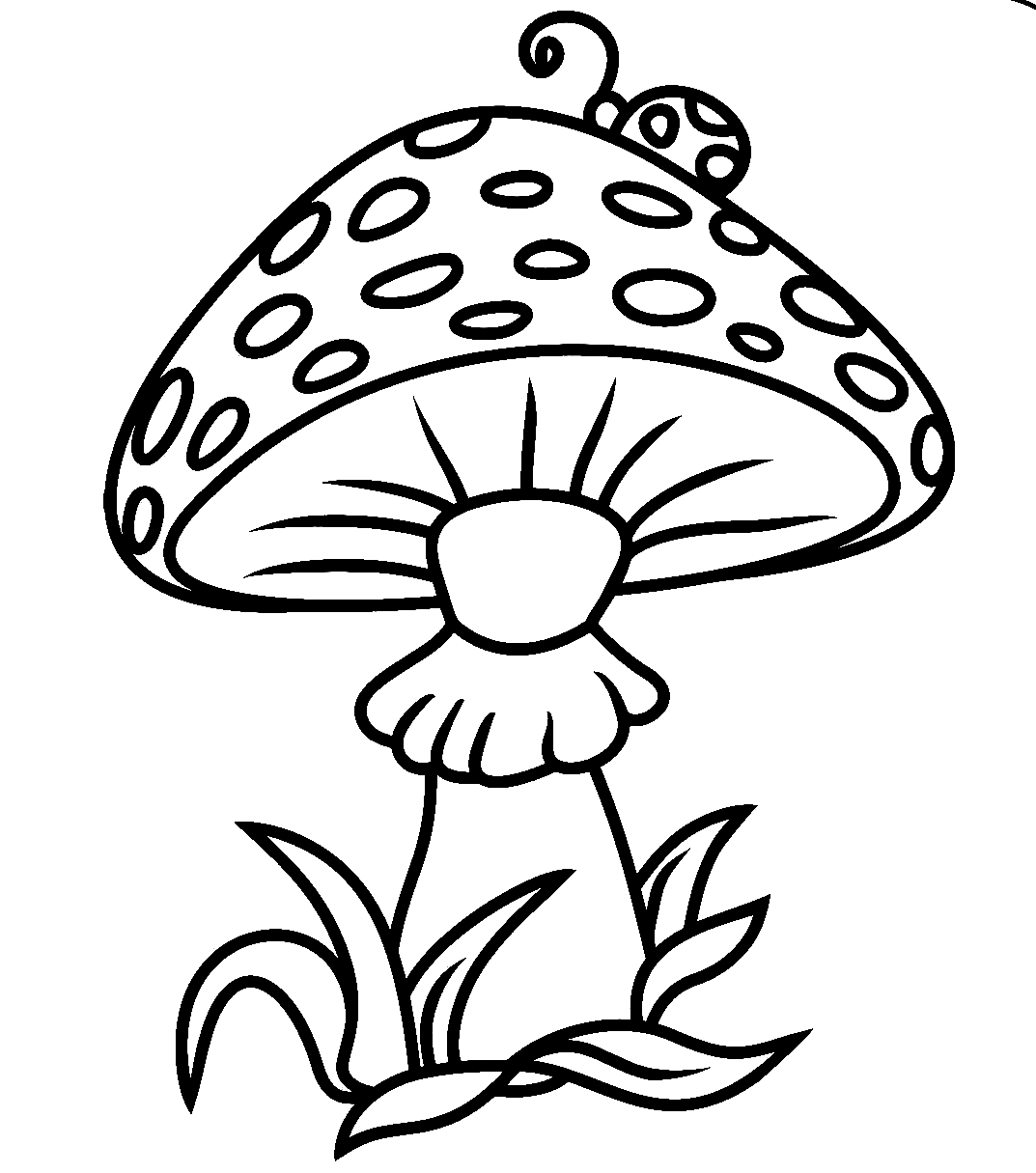 mushroom-with-bug.png