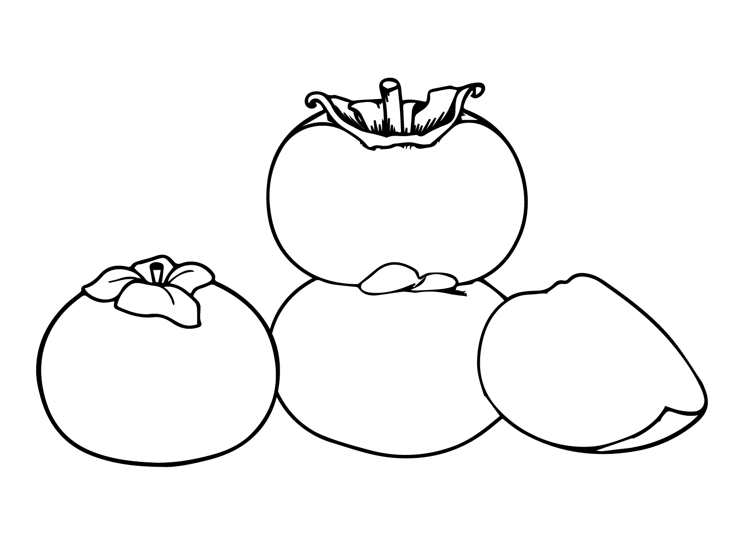 persimmon-color.png