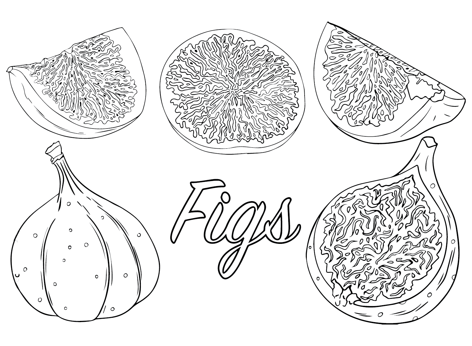 set-of-figs.png