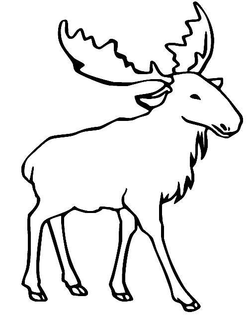 simple-realistic-moose.png