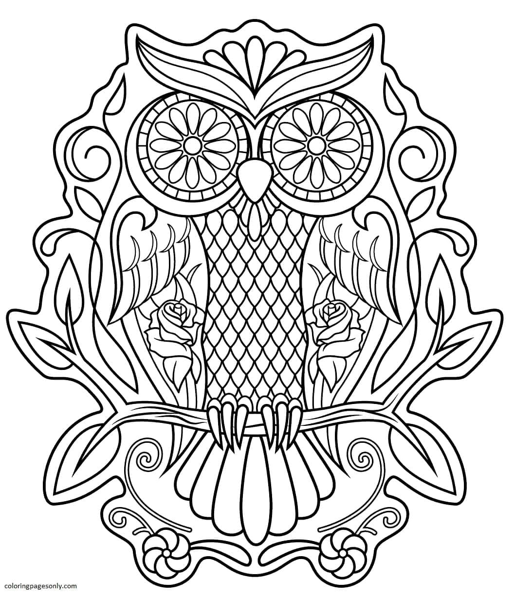 sugar-skull-owl.jpg